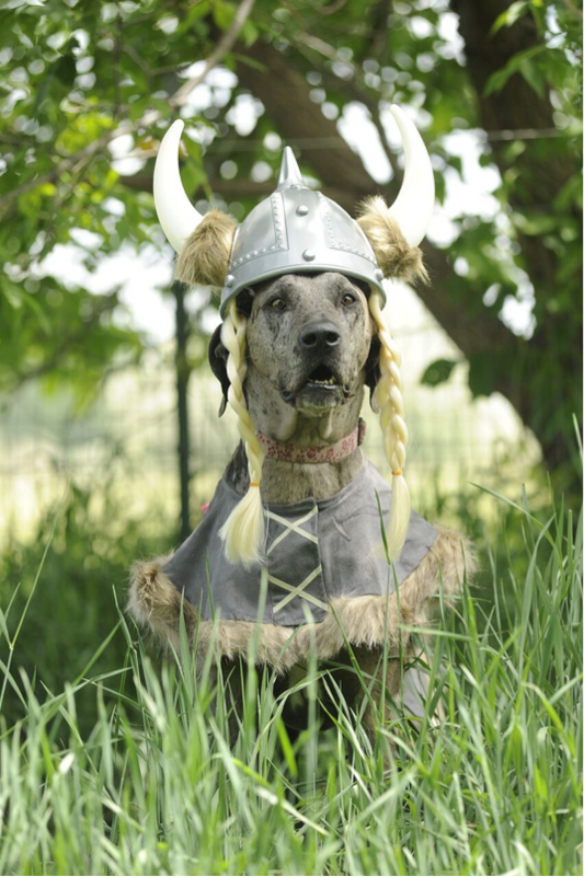 Antoine's Friends are Ready for Howl O' Ween!