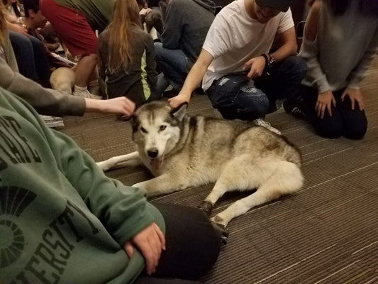 Antoine brings a smile to freshman at Colorado State University