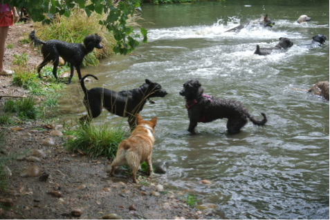 Splish-Splash Bash!