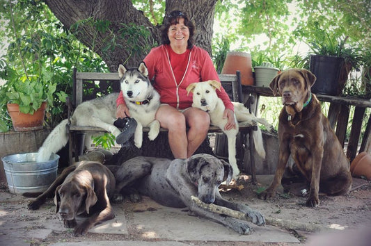 Meet Connie Fredman, Owner of the Canine Health Resort.