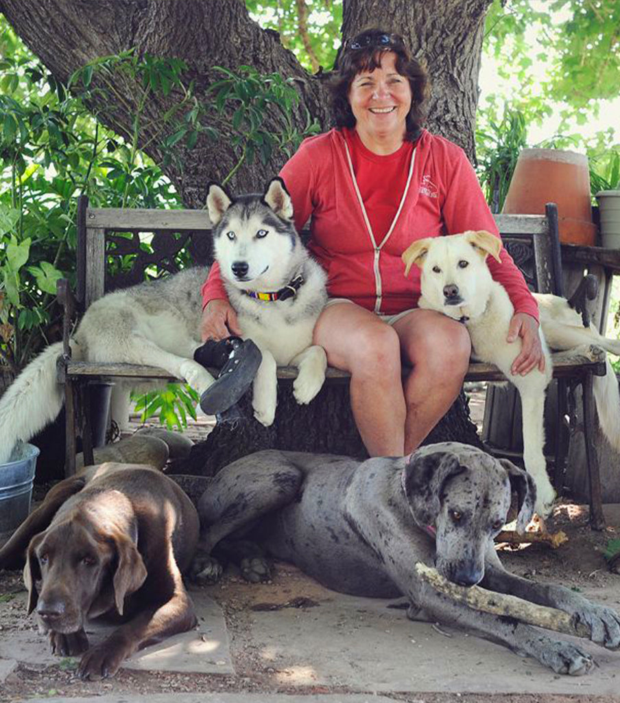 Connie fredman sitting on a bench with her four dogs