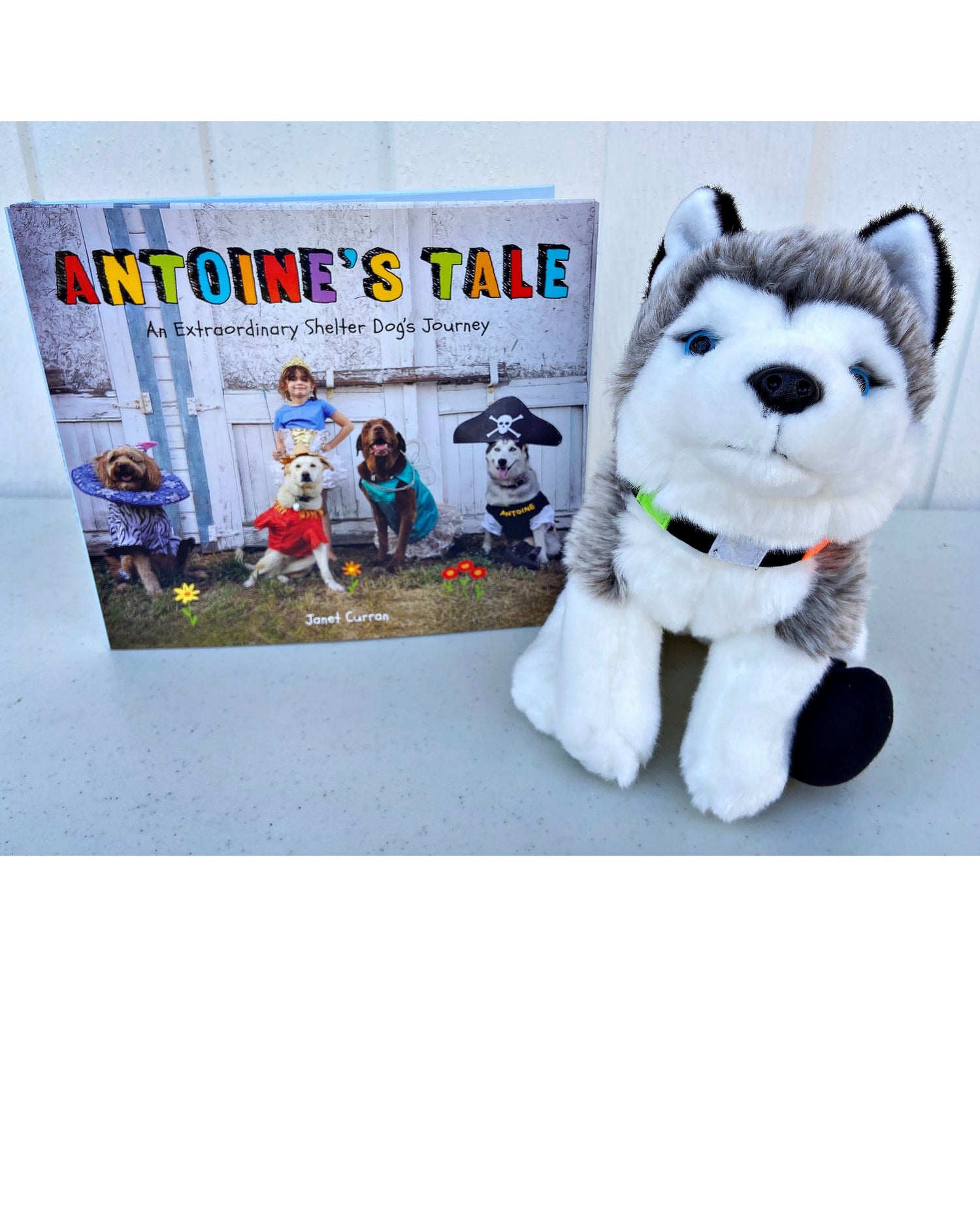 Plush dog toy next to a book titled 'Antoine's Tale' on a white surface.